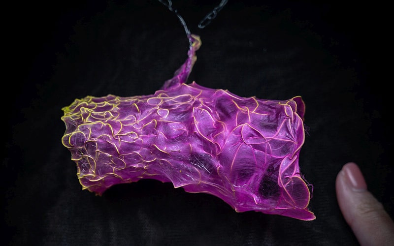 Jaryfraj-sperk-tisk-33-edited-scaled-min