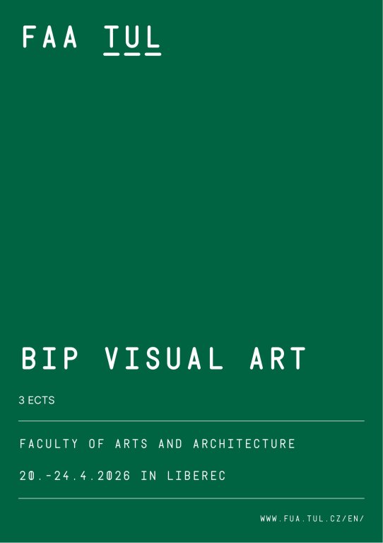 BIP VISUAL ARTS / Liberec, CZECH REP.