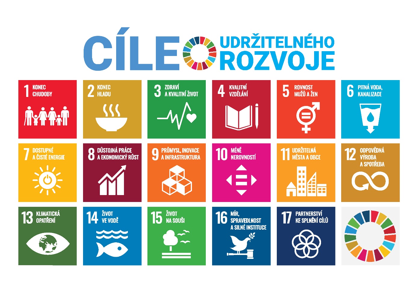 Sustainable Development Goals (SDGs)