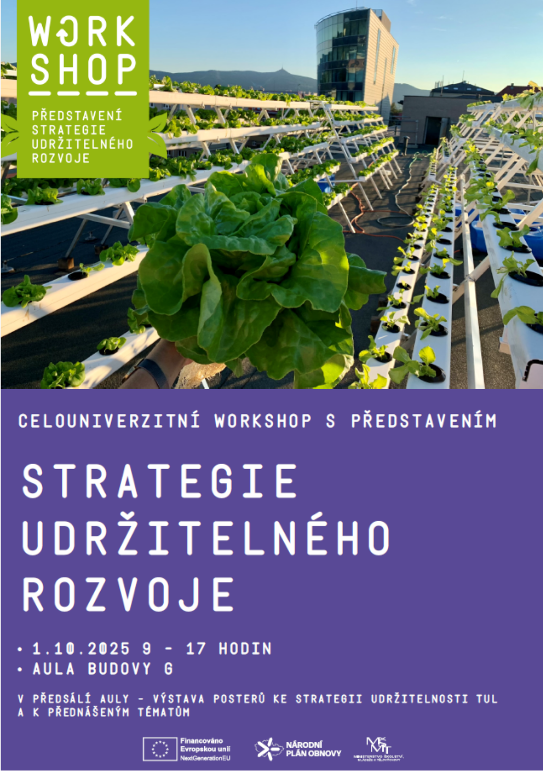 Workshop: Sustainable Development Strategy
